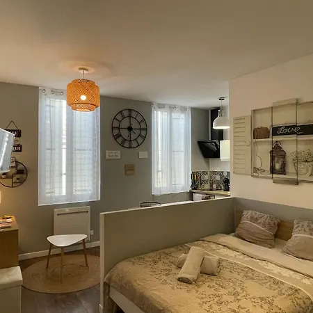 Apartmán Chez Jean-yves Et Zoe - Le Carpe Diem - Au Calme, Tres Propre, Proche Parkings Niort